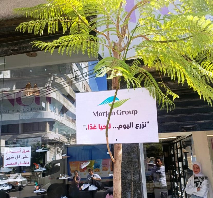 الصَّيدلي عُمر مرجان يطلق مبادرةً لتشجير "ساحة القدس" في صيدا