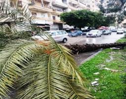 بلدية صيدا تستنفر فرق الطوارىء لمواجهة تداعيات  العاصفة "فرح"
