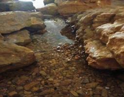 الجفاف يضرب "نبع الطاسة"..منسوب المياه في أدنى مستوياته