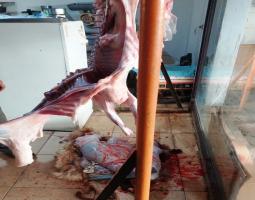 مشاهد صادمة ومخالفات عديدة داخل ملحمة في الصرفند جنوب صيدا ومصلحة الاقتصاد تتحرك .