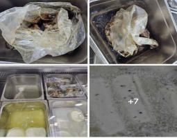 مصلحة الاقتصاد في الجنوب تستكمل  جولاتها الرقابية على المؤسسات الغذائية في الجنوب