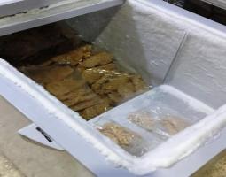 مصادرة وتلف ٢٨٠ كلغ من الدجاج المثلج واقفال "المعمل" بالشمع الاحمر في الجنوب