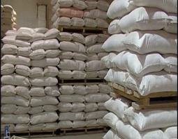 تجمع المطاحن: للاسراع في معالجة مخزون القمح الذي لا يكفي لاكثر من شهر