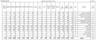 حارة صيدا استقبال